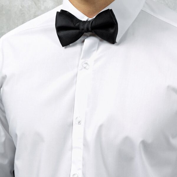 Bow tie Thumbnail